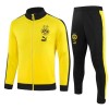 BVB Borussia Dortmund Ensemble Vestes d'Entraînement 2023-24 Jaune Pour Homme